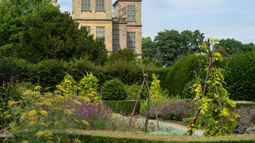 Harden Garden at Hardwick in August with a view of the Hall in the background.